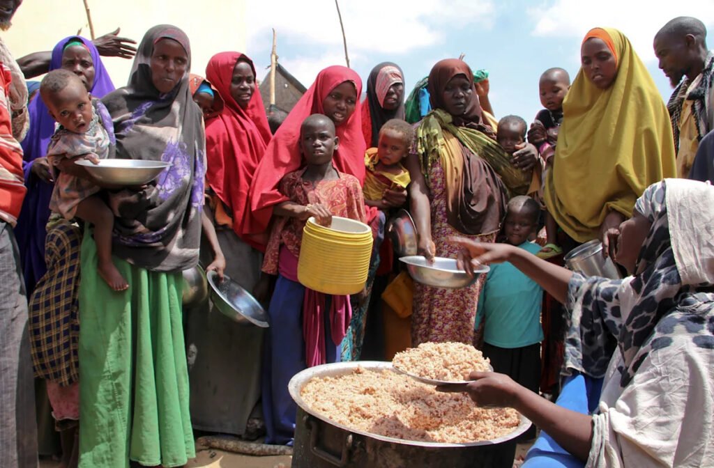UN report reveals alarming rise in Africa’s food insecurity despite global improvements