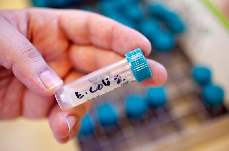 Florida reports 21 cases of E.coli infections linked to raw milk