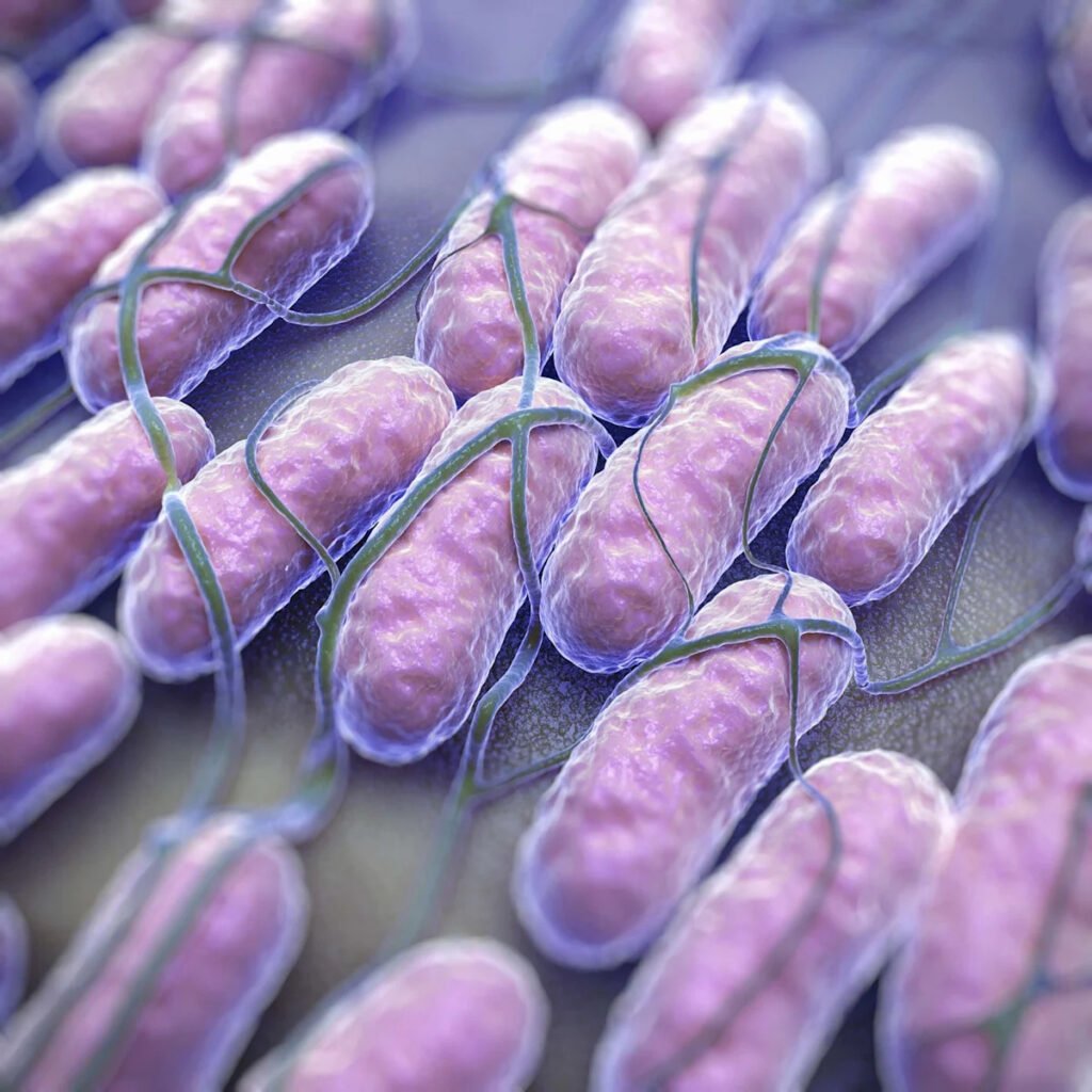 Raw oysters linked to ongoing salmonella outbreak infecting 64 across 22 states: CDC