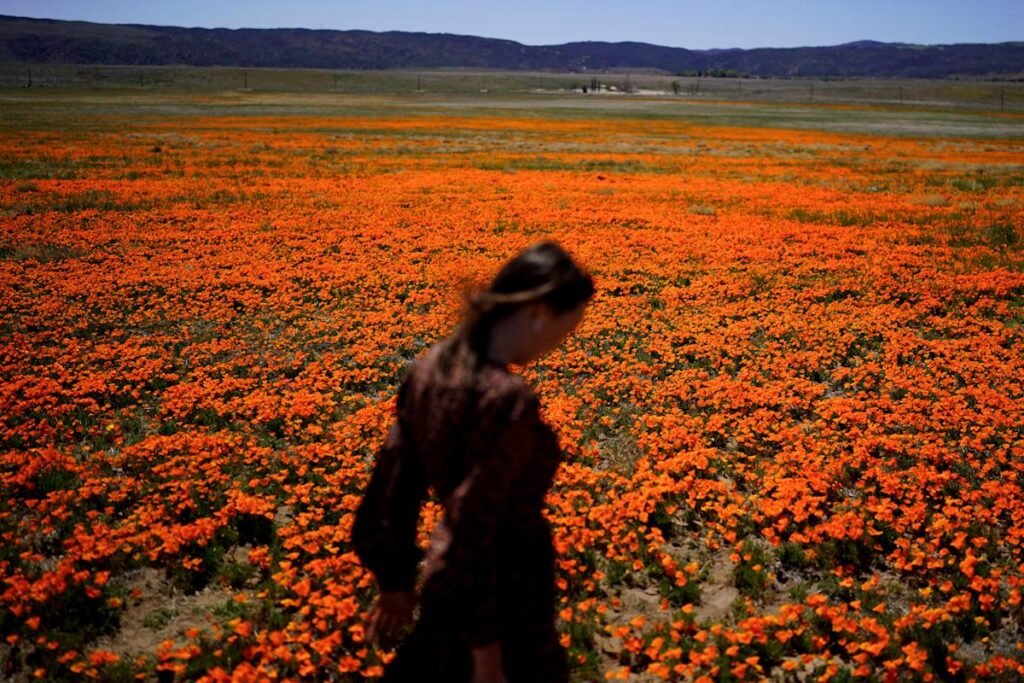 Welcome to allergy season. Here’s how to protect yourself