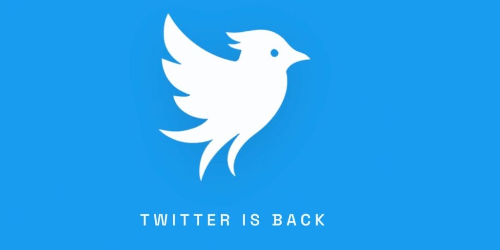 A Former Twitter Lawyer Is Trying to Bring Back Twitter