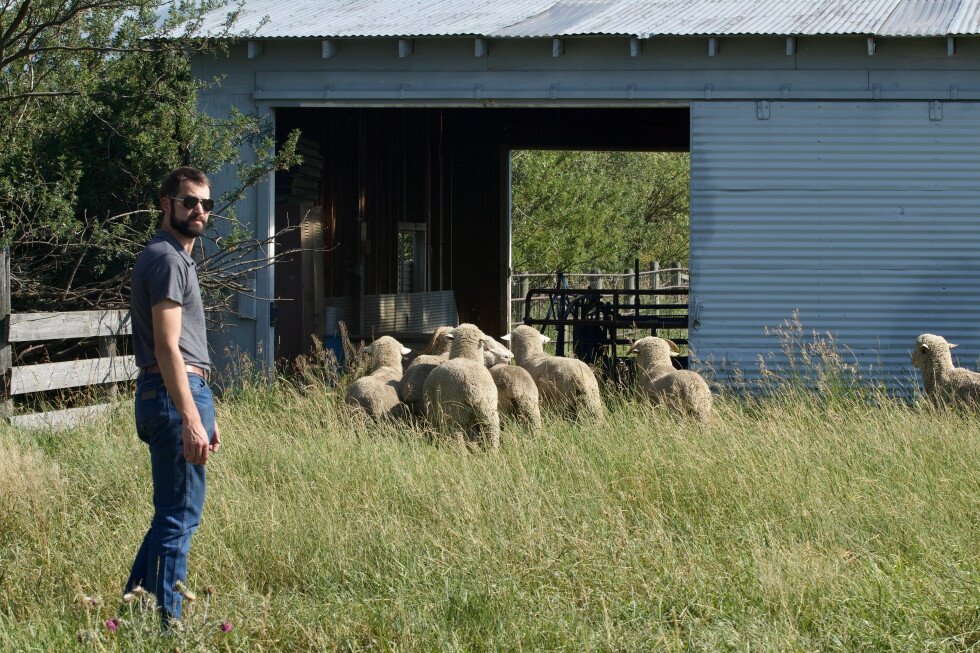 Montana State University launches new Wool Lab